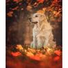 Full 5D Diy Diamond Painting Animal Dog Diamond Embroidery Cross Stitch Home Decor Handmade Gift