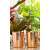 Glass - 275 ML Tumbler, Copper Drinkware & Serveware, Ideal for Water Drinking, Perfect Gifting Option for Festivals and Special Occasions, Set of 2
