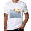 Golden Fire T-Shirt Athletic Fit Sports Short Sleeve Top