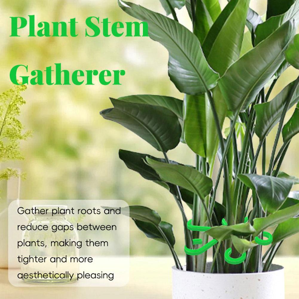 Plant Stem Support Alocasia Monstera Leaf Support Vine Clips Grow Plants And Upright Healthier N6K7