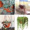 1pc Plant Hanger Durable Flower Pot Holder Hanging Flower Basket Hook Hanger Durable Flower Pot Holder Garden Planter Hooks
