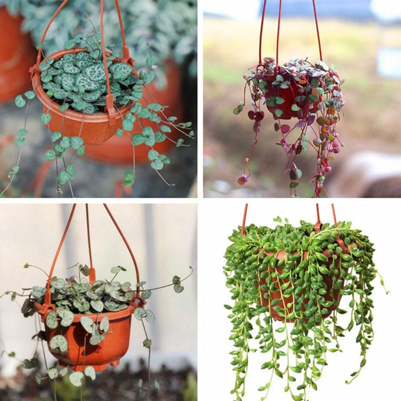 1pc Plant Hanger Durable Flower Pot Holder Hanging Flower Basket Hook Hanger Durable Flower Pot Holder Garden Planter Hooks