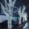 LED Starry Sky Outdoor String Lights - Colorful Decorative Holiday Lighting for Christmas & Weddings