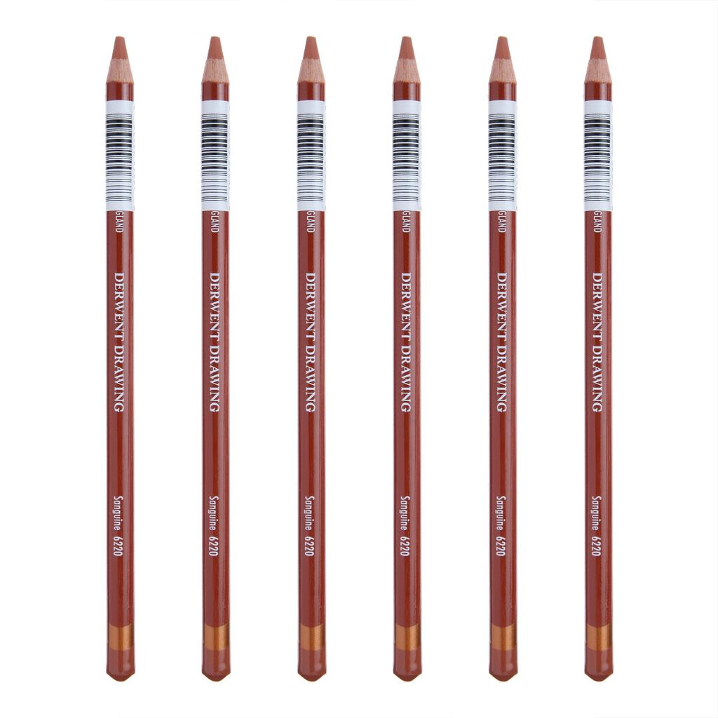 Derwent Sanguine 6220 Colored Case of 0700687 Pencils, 6,