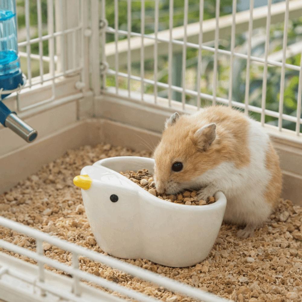 Аксессуары для клетки Керамическая миска для питомца в форме птицы Устойчивая Большая вместимость Миска для корма хомяка Гладкая кормушка Кормление питомца