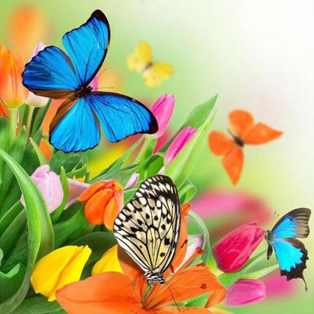 50x50 см 5D алмазная живопись полная квадратная бабочка Алмазная вышивка животные вышивка крестиком ремесленная художественное украшение дома