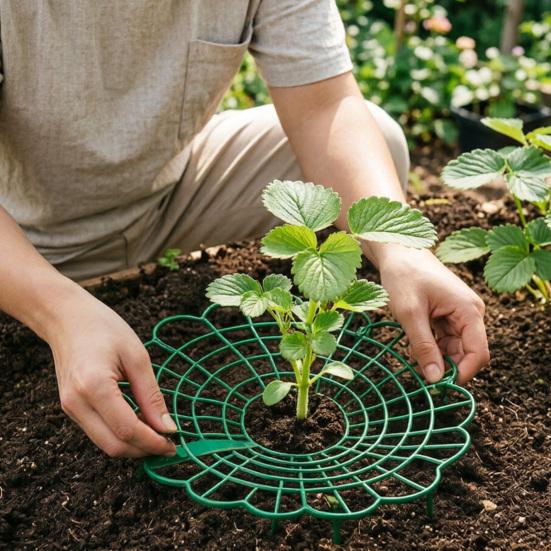 Strawberry Plant Support Stand, Plastic Strawberry Growing Rack with 3 Legs, Easy to Assemble, Strawberry Growing Frame for Keeping Fruit Elevated