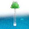 Frog Pool Thermometer Paddling