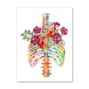 Anatomy Flower Organ Wall Art Poster Prints Brain Heart Skull Kidney Skeleton Canvas Painting Nordic Wall Pictures Office Decor