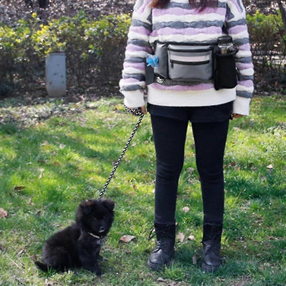 Dog Treat Pouch For Training Built In Poop Bag Dispenser With Hidden