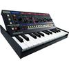 Roland Roland JU-06A Sound Module Sound Module with Speaker Battery Powered Boutique JUNO-60