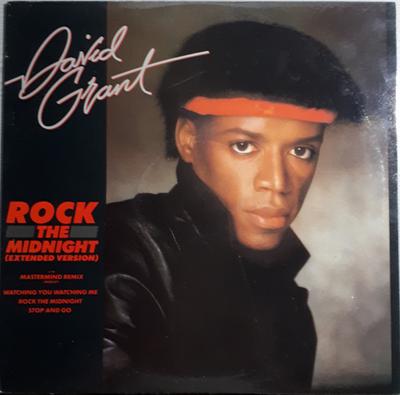 12-дюймовая пластинка DAVID GRANT Rock The Midnight CS42759 Chrysalis 1983 Канада SoulFunk Б/у