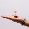 Rose Quartz Gemstone Tree Wood Base 15 Gemstones