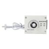 CN Plug 4000W AC 220V Variable Voltage Controller Control For Fan Speed Motor Tool