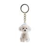 Fur Storage Capsule Portable Souvenirs Keychain Dog Shape Keychain  Memorial Souvenirs