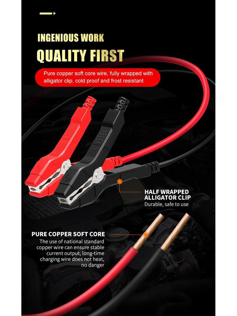 E-FAST 12V Зарядное устройство и инструмент для ремонта автомобильных и мотоциклетных аккумуляторов