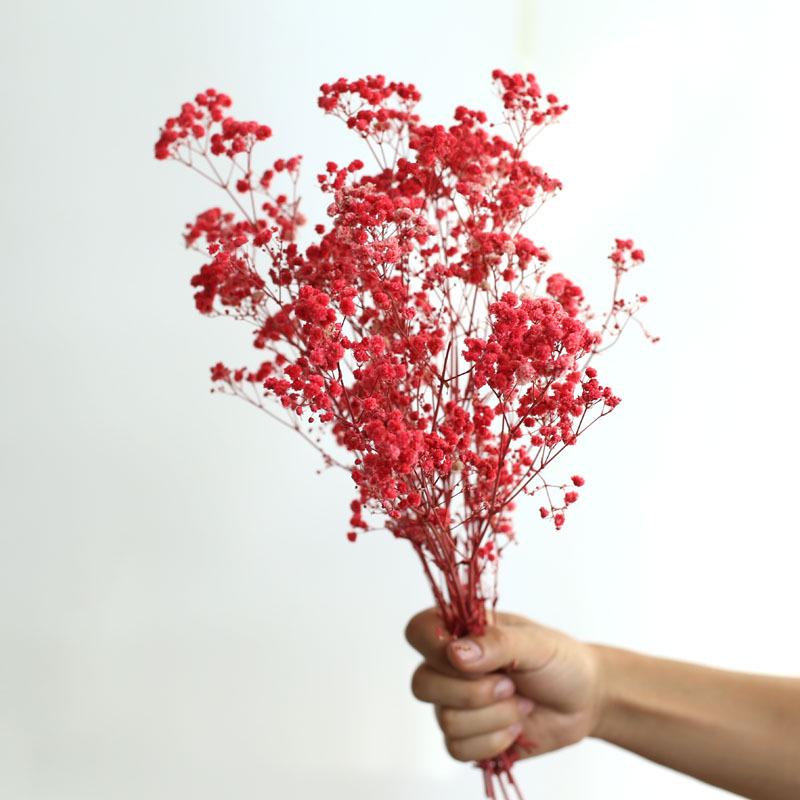 Yunnan Preserved Baby's Breath Bunch - Colorful DIY Home Decor Flower