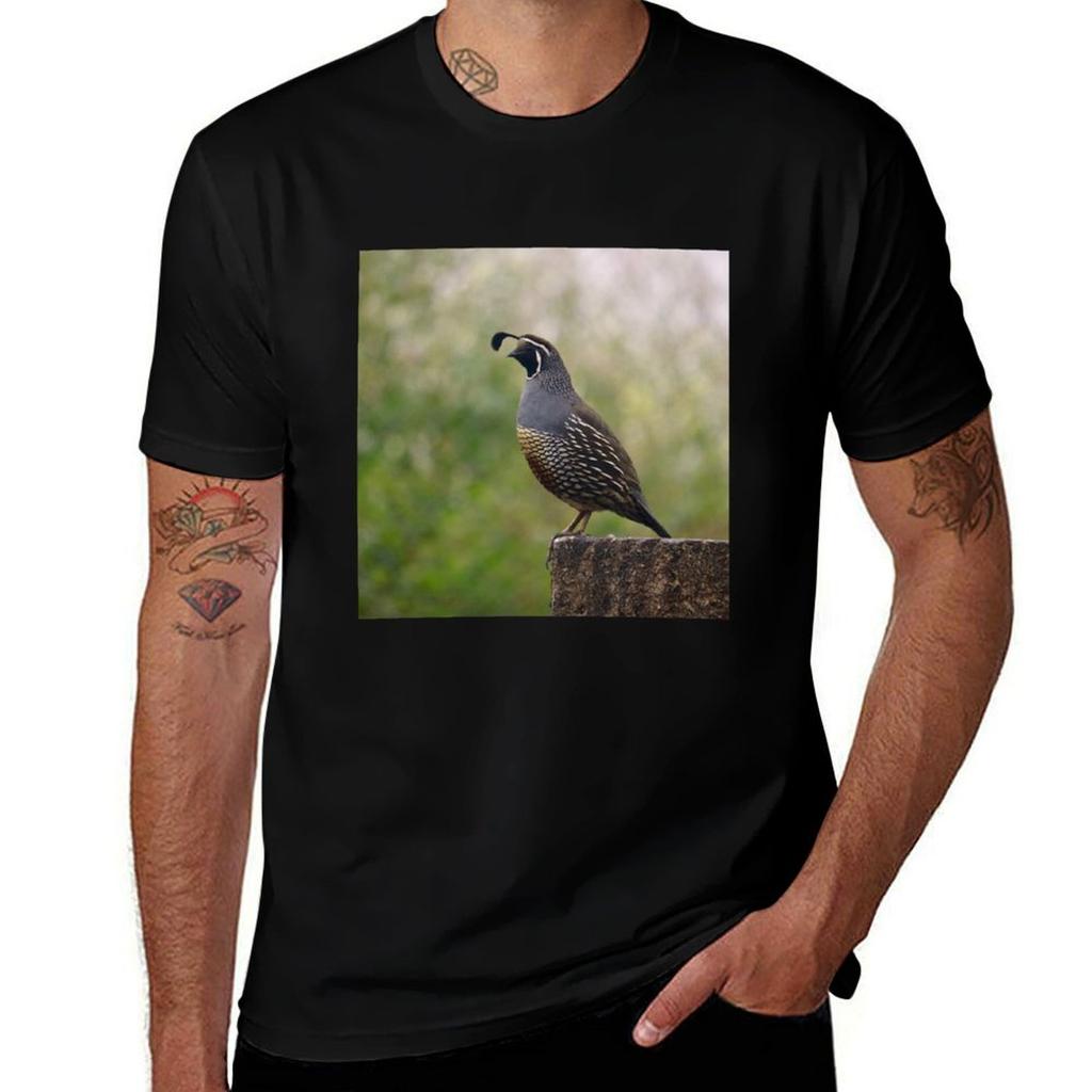 California Valley Quail Tshirt Basic Solid Color Casual Tee Shirt