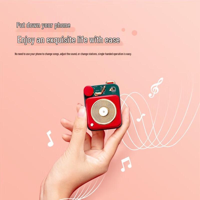 Maowang MW-P1 Portable Bluetooth Speaker