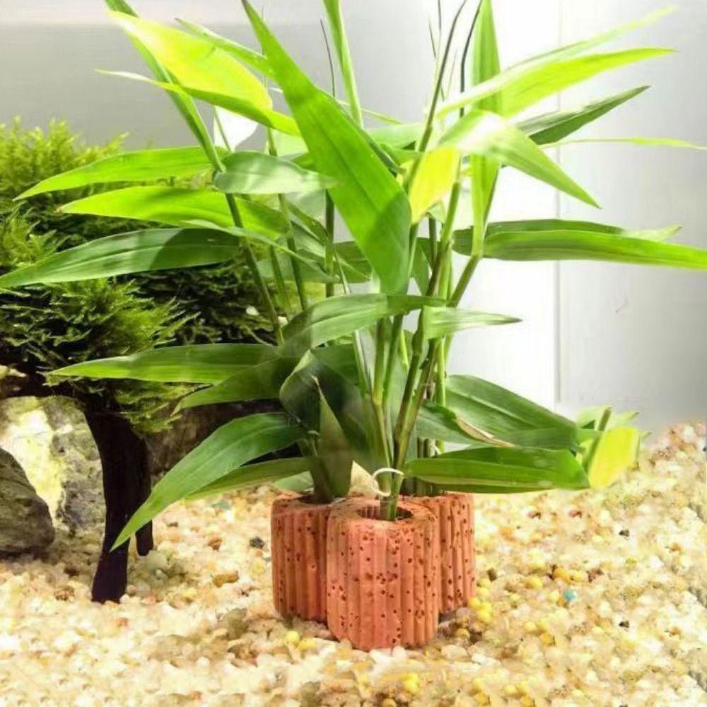 10pcs/set Decorative Aquatic Planting Ring Pottery Pottery Gravity Ring Aquarium