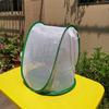Insect Cage Foldable Easy To Carry Green Insect Mesh Cage Terrarium for Garden