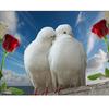 Алмазная вышивка акриловая Пейзаж Голубь Наклейка на стену Полная дрель Декор для спальни Прямая продажа с фабрики