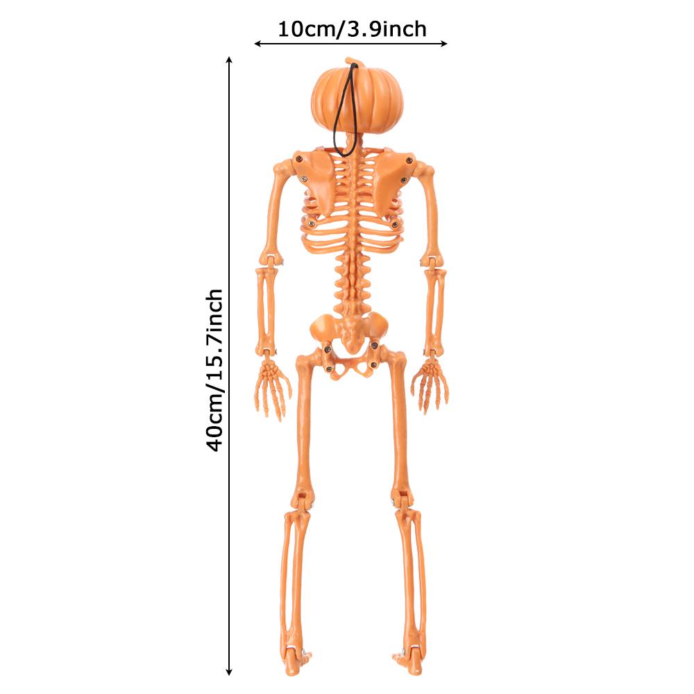 Анатомические Игрушки Реквизит для Фотосъемки Фигурка Тела Тыква Череп Хэллоуин Человеческий Скелет Кость Модель