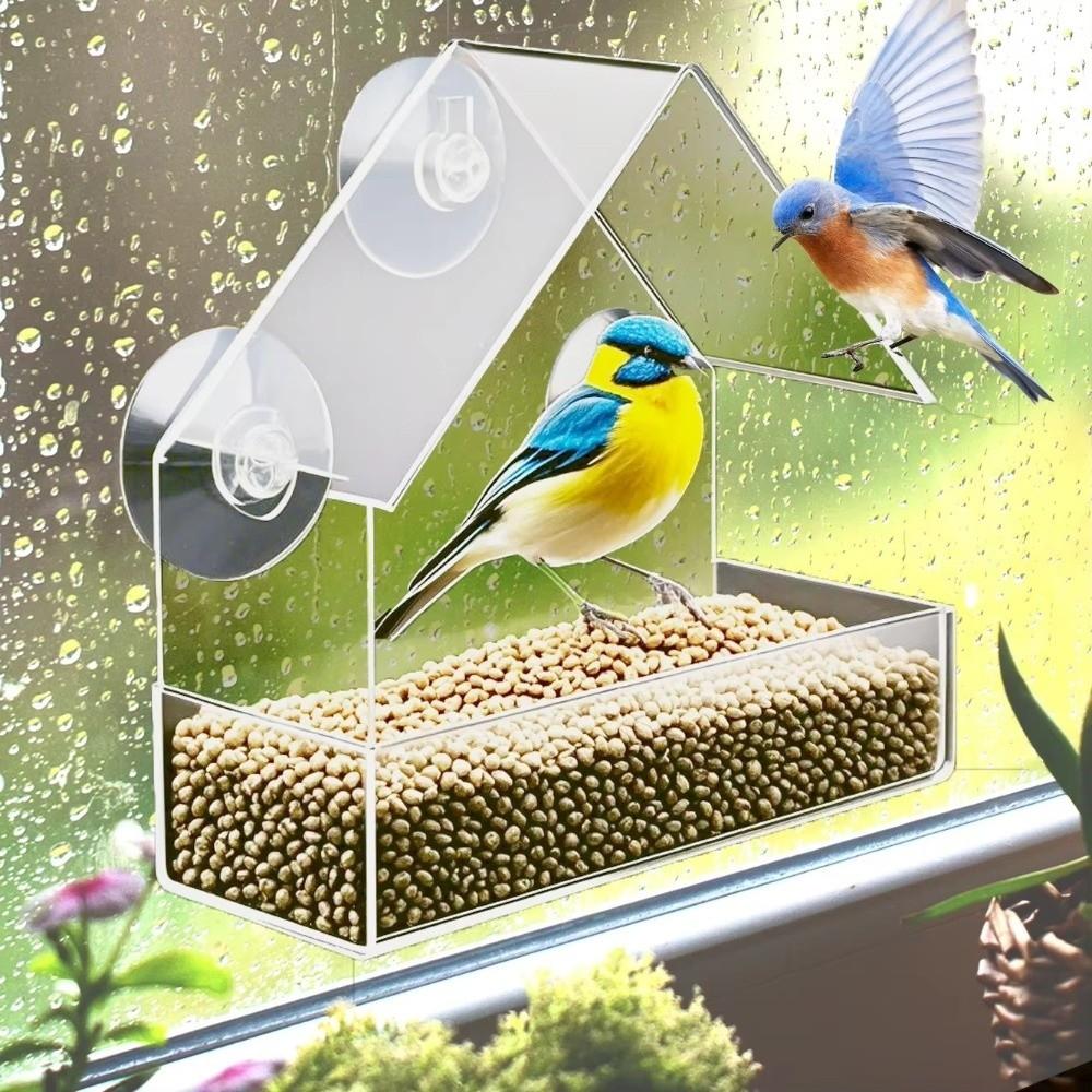 Reusable Tray Suction Cup Bird Feeder Window Type Squirrel Food Container Outdoor
