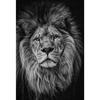 Полный 5D Diy Алмазная картина Черный Лев Голова Вышивка Крестом Домашний Декор Ручной Подарок