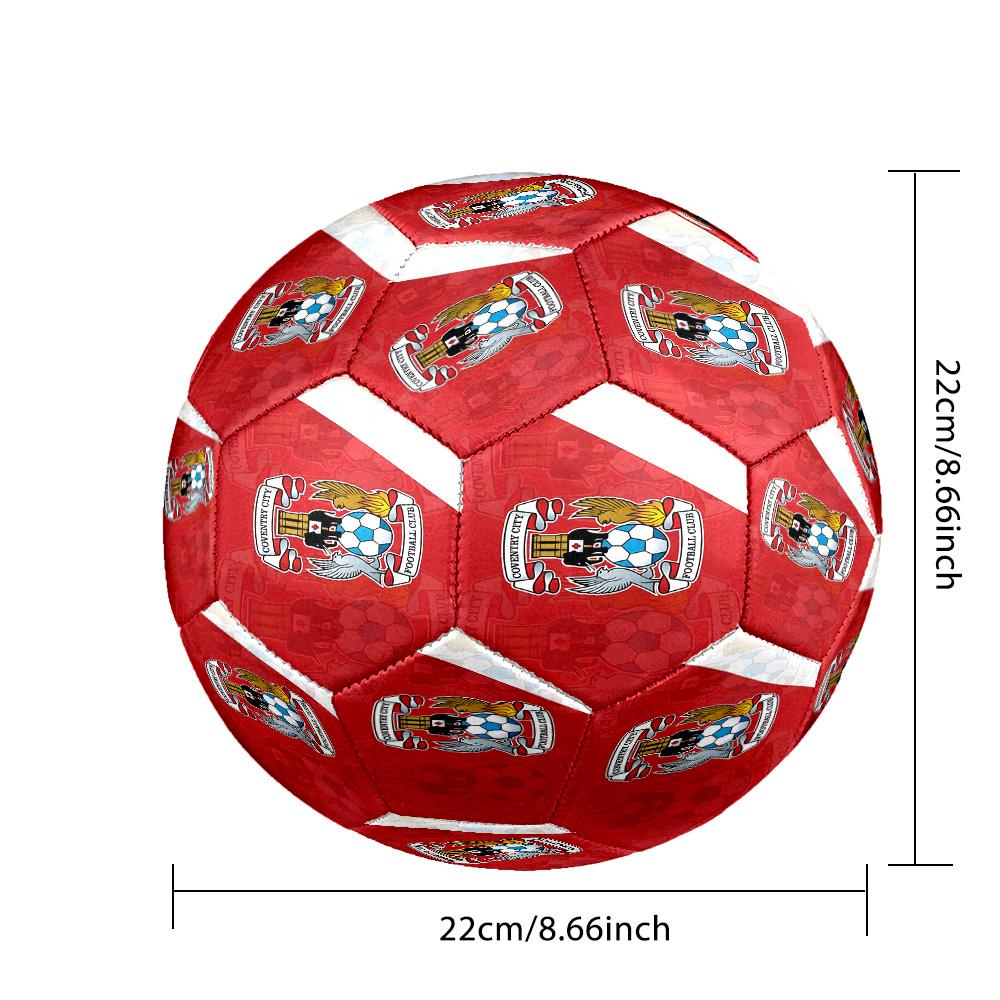 Newcastle United Crest Printed Size 5 Soccer Balls, High-Quality, Anti-Slip, Protective Football, A Unique Gift , Birthdays, Christmas Gifts