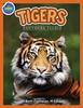 Книга Tigers Panthera Tigris Ages 2 4 by Beth COSTANZO - Paperback