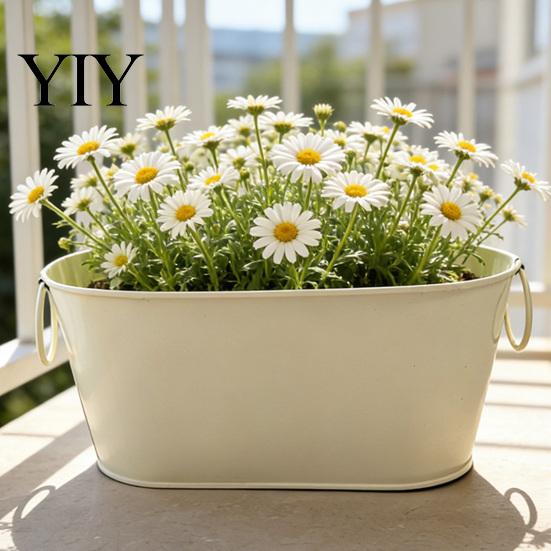 Weather Resistant Garden Pot Metal Flower Planter with Drainage Holes & Handles, Iron Pot, Decoration Minimalist Succulents Container for Indoor