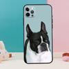 Чехол для телефона с изображением собаки Бостонский терьер для iPhone 13 11 12 14 15 16 Pro Max Mini XR XS X Plus Задняя крышка Fundas