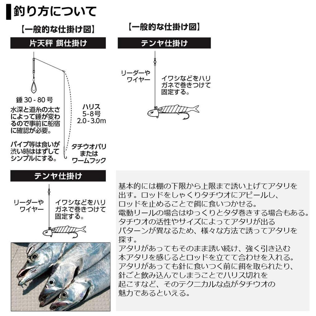 Daiwa Удилище для рыбалки Hairtail X ML-190/R