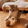 Пушистый мячик Игрушка для кошек Мягкий Пушистый Мячик для кошек Моющийся Пушистый Веселый Мячик для погони Обогащающая игрушка для котят Домашние упражнения Охотничьи инстинкты