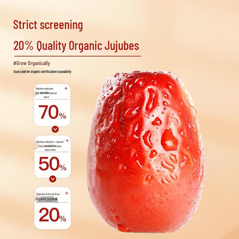 Xinjiang Organic Red Dates (500g)