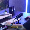 Динамический микрофон XLR для ПК, цельнометаллический игровой эфир, запись потоковой передачи, работает для аудиоинтерфейса, микшер звуковой карты PD100