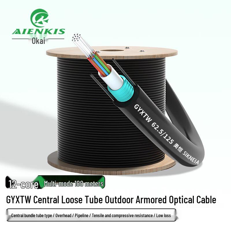 AIENKIS Outdoor Armored Multimode Fiber Optic Cable