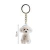 Fur Storage Capsule Portable Souvenirs Keychain Dog Shape Keychain  Memorial Souvenirs