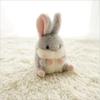 4 Colors, About 12C Rabbit Plush Toy, Accessories Plush Bunny Toy Doll
