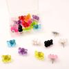 20 Pcs Mixed Color for Creative Fashion ThumbNails Bear Push Pins Steel Pushpin for Photos Wall Maps Bulletin Cork Boar