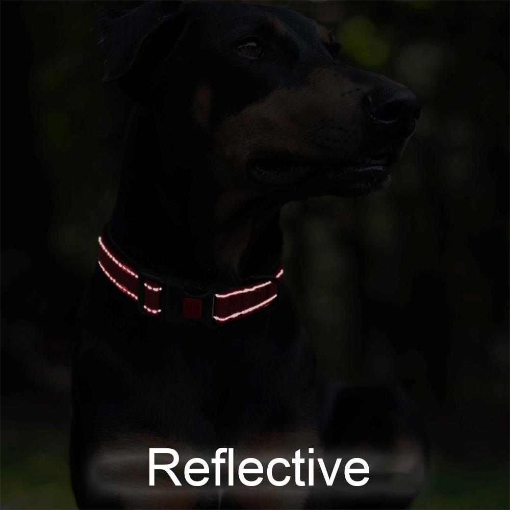 Ошейники для щенков домашних животных XS SML Регулируемый мягкий ошейник унисекс для собак Светоотражающий нейлоновый ошейник