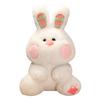 Nic Cute Fat Rabbit Peluche Toys Пушистый кролик Банни Подушка для рук Грелка Длинные плюшевые куклы для девочек Детские подарки на день рождения