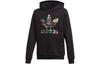 adidas Оригиналы Свитшоты для начальной школы с капюшоном Умеренные EJ5595