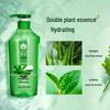 Fenghua Aloe Vera Hydrating & Oil Control Shampoo