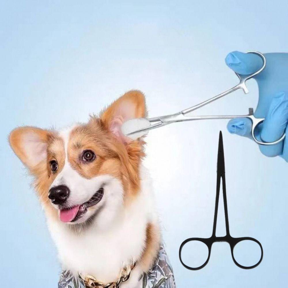 Tip Dog Grooming Scissors Trauma Shears Scissor Cat Surgical Forceps Pet Hemostatic Clip