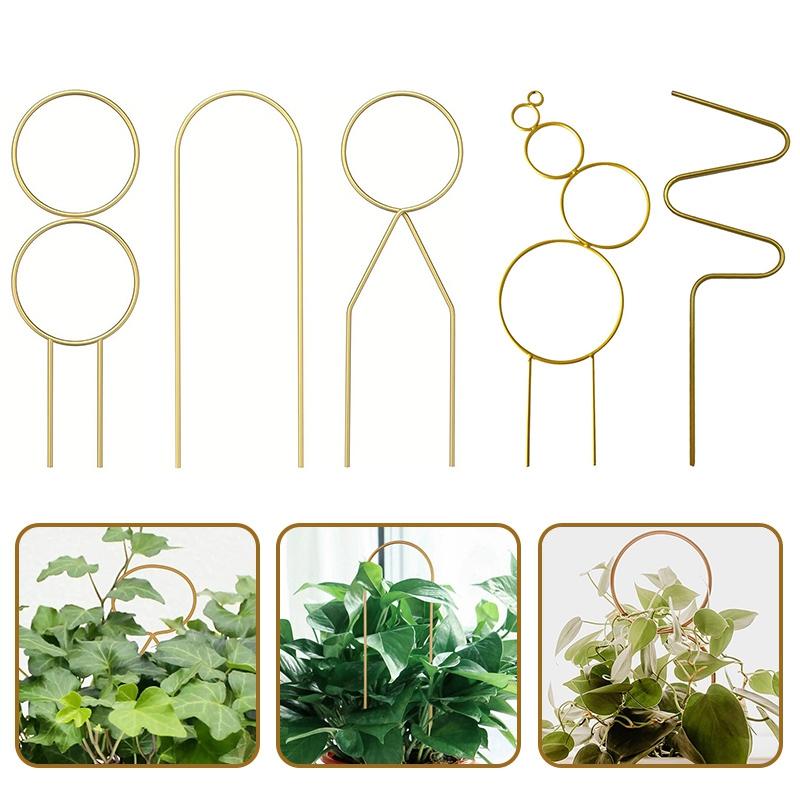 Садовое растение опора для лазания каркас креативная подпорка для растений металлическая фиксирующая штанга для растений шпалера для лазания лиан кронштейн для горшечных цветов