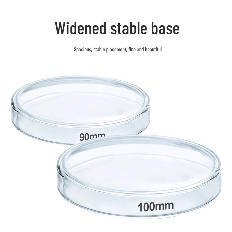Laboratory Round Glass Petri Dish