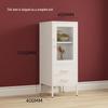 Yuanzu Nordic Modern Wrought Iron Double Door Sideboard