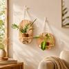 Wooden Wall Hanging Planter Holder Home Ornaments Hydroponic Planter Shelf  Hydroponics